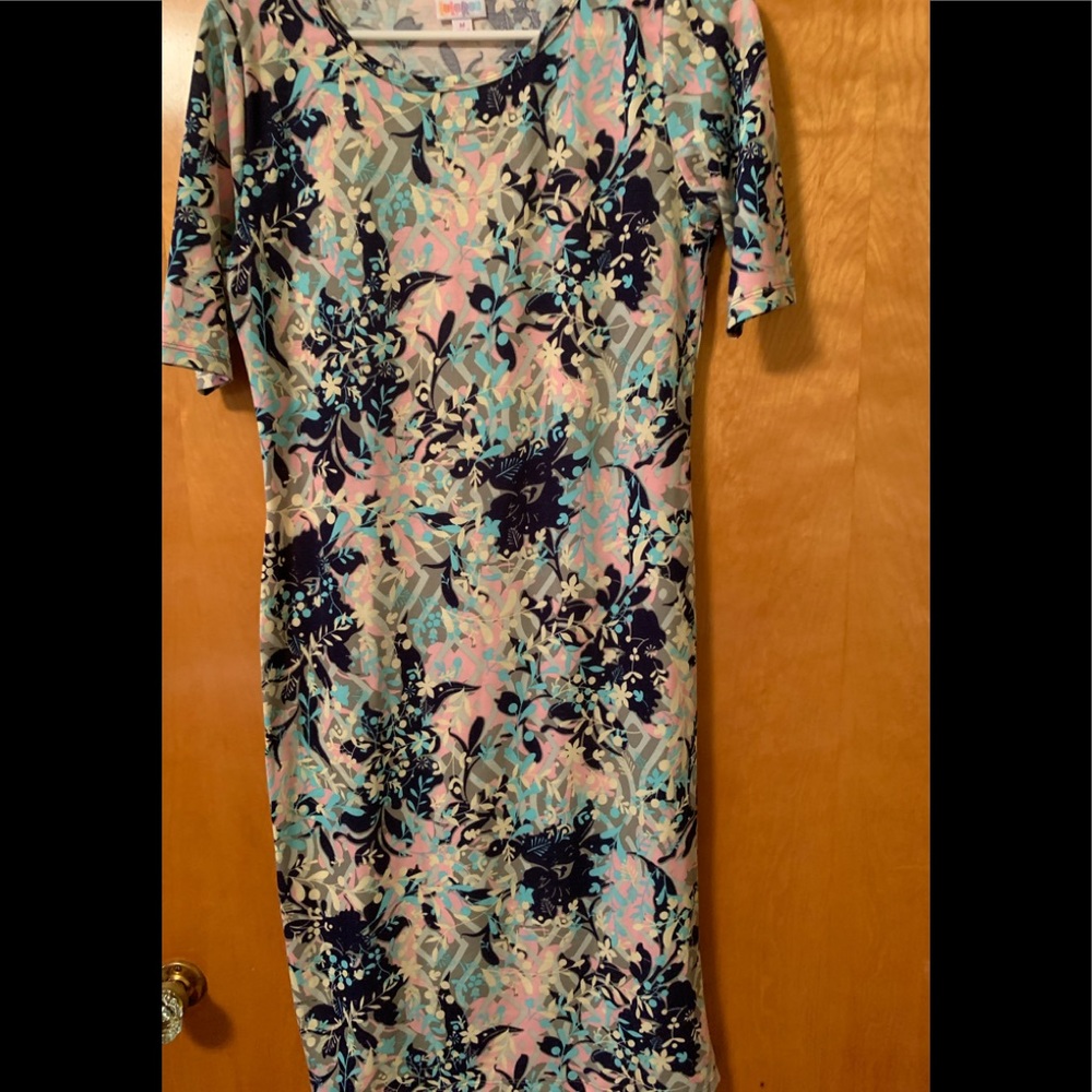 Lularoe Julia Dress.  Size M.  Worn once.